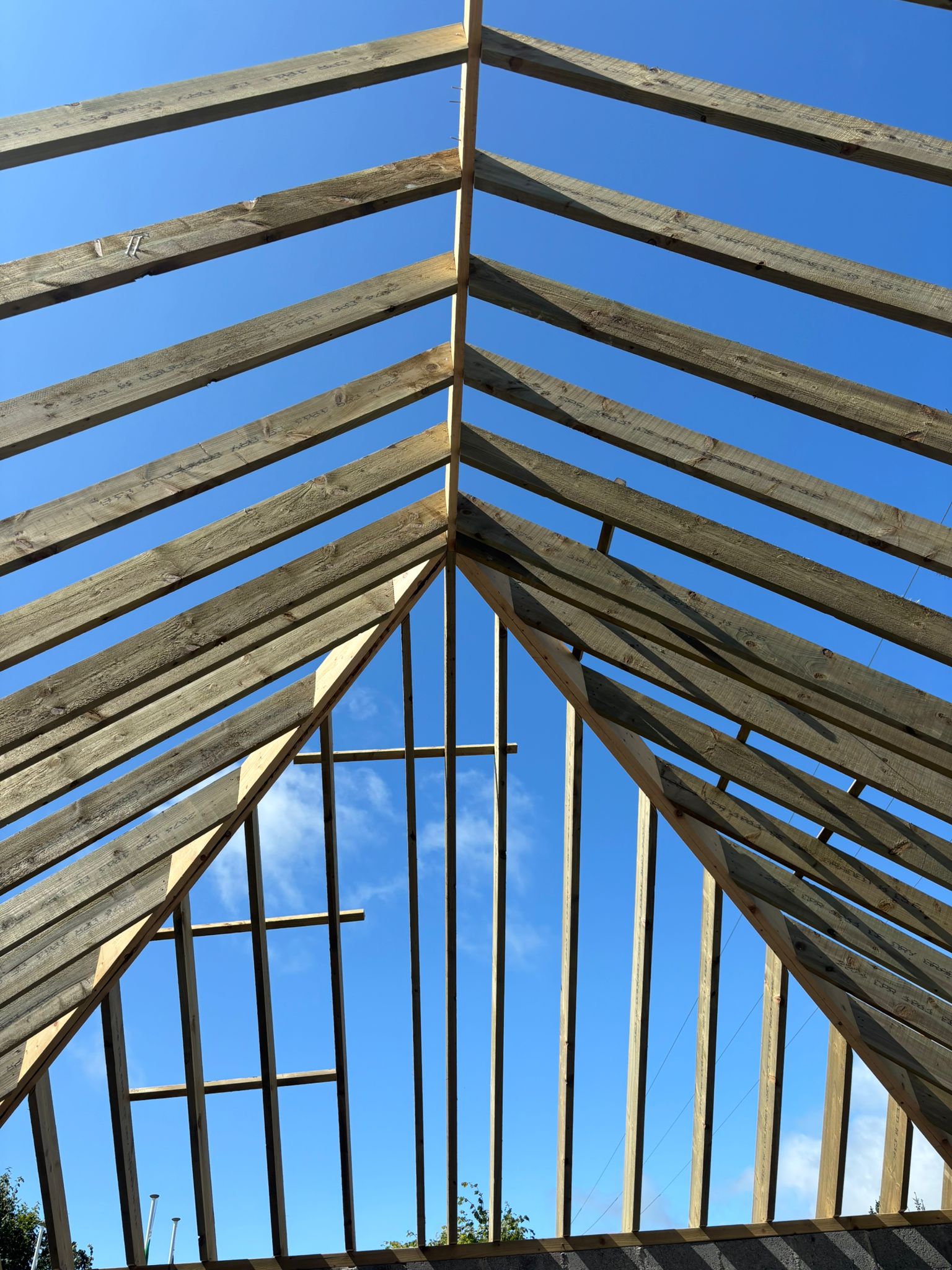 HBC Timberframe roof structure