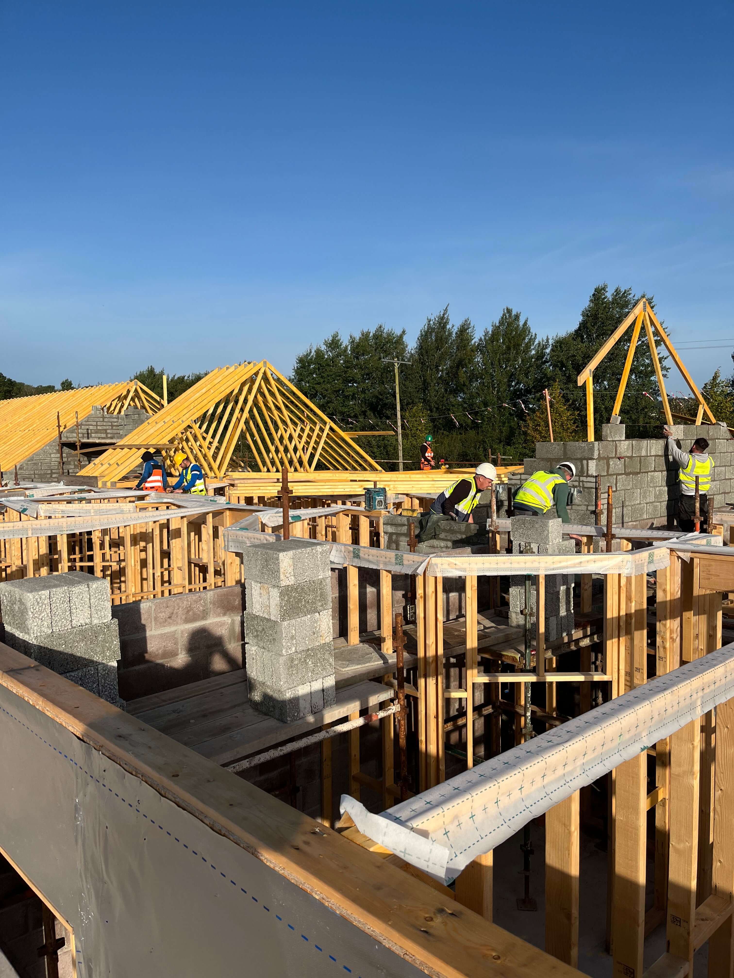 HBC Timberframe crew erecting a commercial timber frame structure